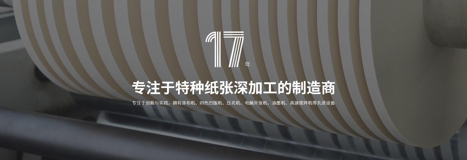 卫辉市天游TY8特种纸业有限公司